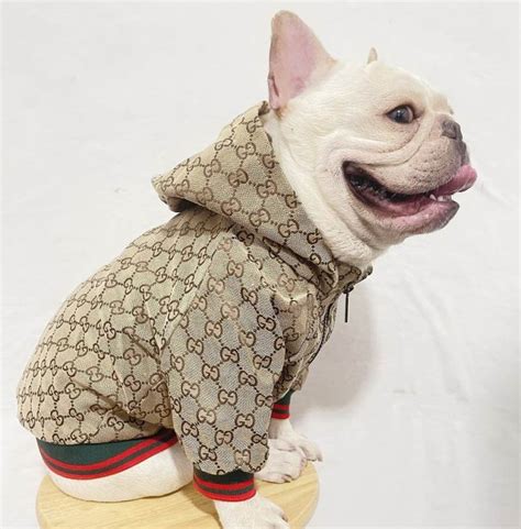 gucci honden|gucci designer dog clothing.